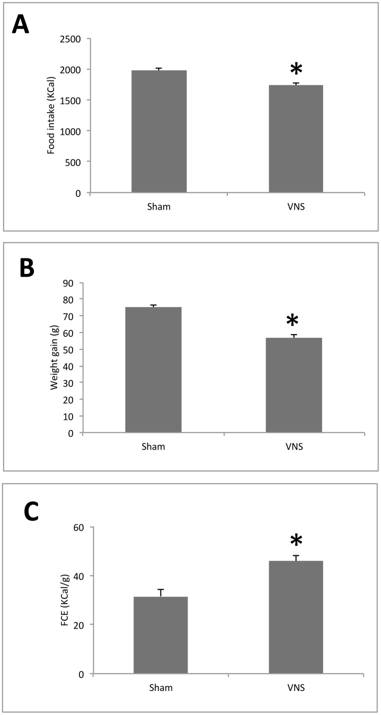 Effects of chronic VNS on food intake, gain in body weight and feed conversion efficiency (FCE) in rats.(A) Change in food intake (B) Change in body weight over 4 weeks. (C) FCE was determined from the number of kilocalories consumed per gram of weight gain. All data are means ± SEM for nine animals per group. *P<0.05 versus the corresponding value for sham-operated controls (Scheffe’s test).