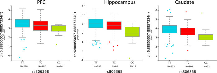 Positive eQTLs for CNR1 with genetic variation at rs806368 in PFC, hippocampus, and caudate.rs806368 genotype significantly associated with the expression of a novel transcript in PFC, hippocampus and caudate. The x-axis showed the genotypes for each SNP. The y-axis represents the relative expression quantities in PFC, hippocampus or caudate.