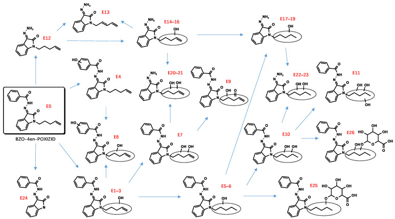 Proposed metabolic pathway of BZO-4en-POXIZID.