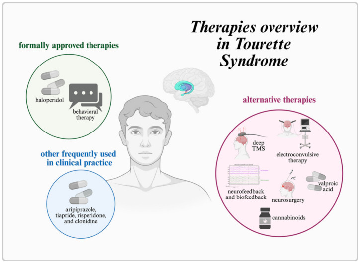 A simplified graphical overview of selected therapies currently approved or used in the treatment of Tourette syndrome, as well as representative alternative approaches. The figure is intended for illustrative purposes only and does not reflect the complexity of treatment pathways or provide a comparative assessment of therapeutic efficacy. TMS, transcranial magnetic stimulation.