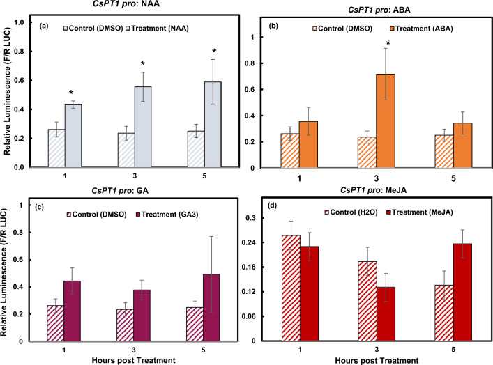 Responses of CsPT1 pro to ABA, NAA, GA, and MeJA. Dual luciferase assay results displaying activity of CsPT1 pro at 1, 3, and 5 hpt indicated by relative luminescence. Significant activation was measured from NAA (a) as well as ABA (b). No activation of CsPT1 pro was detected in response to GA3 (c) or MeJA (d). *indicates p ≤ 0.05. **indicates p ≤ 0.01 (n = 3).