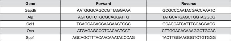 Sequences used in RT-qPCR.