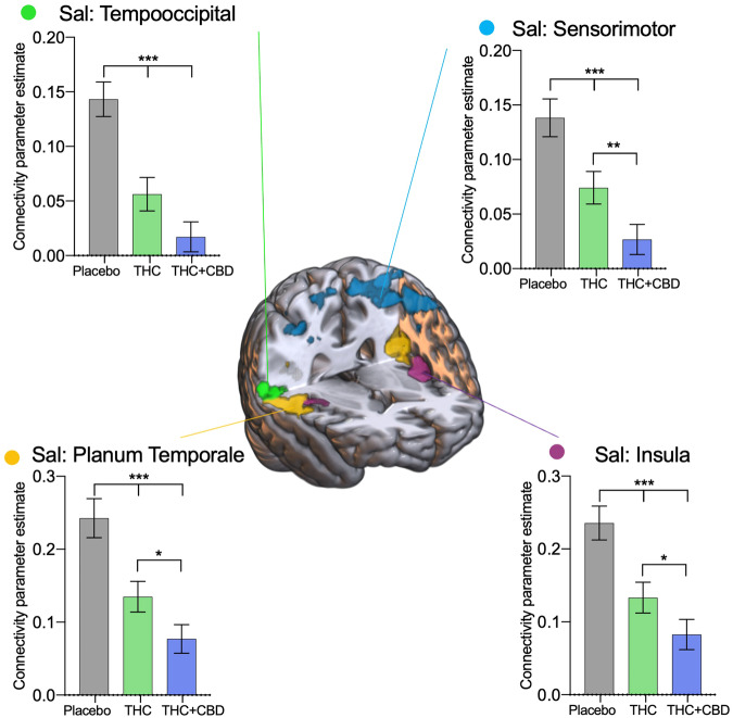 Drug treatment results from the salience network.Areas identified in a seed-voxel whole-brain ANOVA model as having connectivity affected by drug condition (placebo, THC, THC + CBD) with the salience network (Sal), were subdivided into regions of interest to identify directional effects. Connectivity between the salience network and the temporooccipital cortex (green), sensorimotor cortex (blue), planum temporale (yellow), and insula (purple) are significantly reduced with acute cannabis administration. Results are presented collapsed across age groups. Error bars show SEM, N = 46 (24 adults), P < 0.001 ***, P < 0.01**, P < 0.05 *.