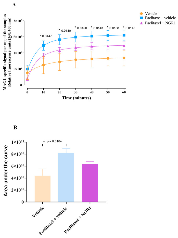 Effect of NGR1 on the paclitaxel-induced increase in MAGL activity in the paw skin of female BALB/c mice. (A) Relative fluorescence units (360/460 nm) over time as a product of the MAGL-specific signal per mg of the paw skin samples from vehicle-, paclitaxel-plus-vehicle-, and paclitaxel-plus-NGR1-treated mice at day 7 after the first injection (dpi) of paclitaxel. Each symbol represents the mean ± S.E.M of values obtained from 7 separate experiments from samples pooled from 3 different sets of animals. Each set had 4–7 animals per treatment group. * p < 0.05 compared to mice treated with the vehicle only (two-way repeated measures ANOVA followed by Tukey’s multiple comparisons test). (B) Area under the curve (AUC) of relative fluorescence of MAGL-specific signal per mg of the paw skin samples from vehicle-, paclitaxel-plus-vehicle-, and paclitaxel-plus-NGR1-treated mice at day 7 dpi of paclitaxel. Each bar represents the mean ± S.E.M of values obtained from 7 separate experiments from samples pooled from 3 different sets of animals. Each set had 4–7 animals per treatment group. * p < 0.05 compared to mice treated with the vehicle only (one-way ANOVA followed by Tukey’s multiple comparisons test).