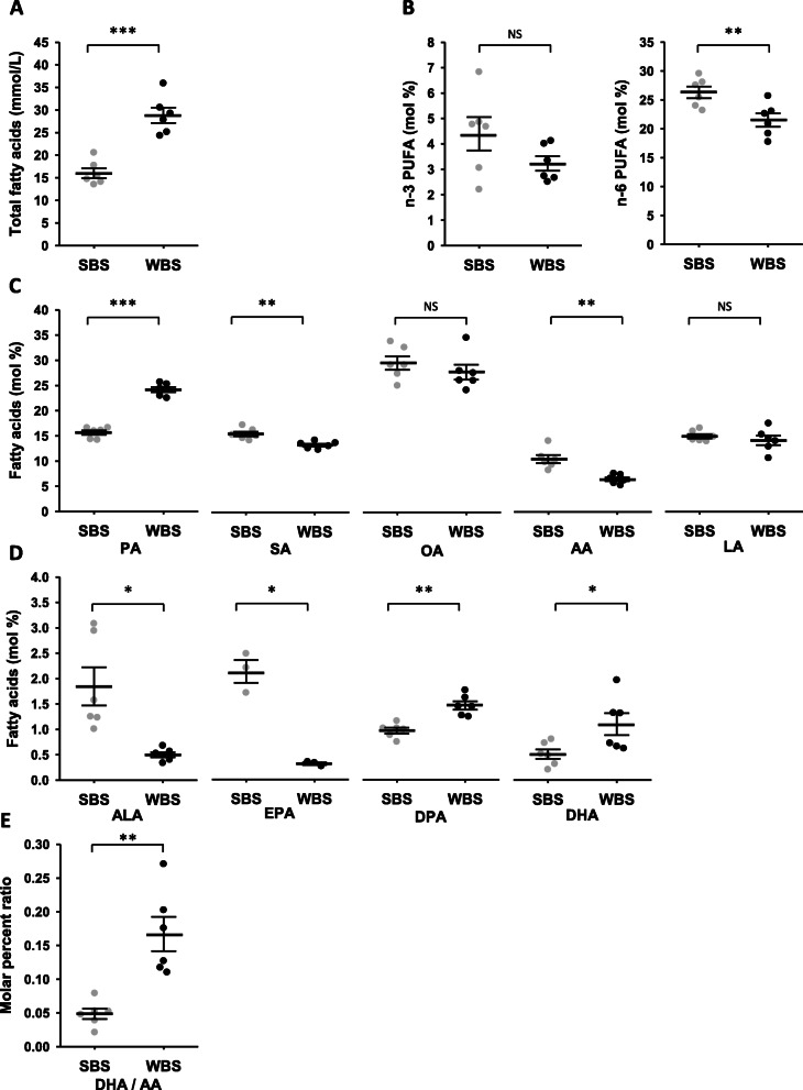 Lipidomic from summer and winter brown bear serum. The winter and summer bear serum mixes were prepared as described (Supplementary Table S1). a: Total fatty acid (FA) concentration. b: Total n-6 and n-3 FA relative proportions of total lipids. c: Highest molar percent lipid species D: Molar percent of the n-3 family lipid species. e: Molar ratios of DHA/AA in summer and winter serum. Detailed lipidomic results are presented in Supplementary Tables S2 and S3. Data are expressed in mmol/L for total FAs concentration, or molar percentage of total lipids and are represented as mean ± SEM of separate extractions and quantifications from the twelve mixes (six summer and six winter serum mixes, except for EPA with data from only three summer and three winter mixes). Paired Student t-test were used to compare wummer and winter data and Benjamini-Hochberg correction was applied for multiple comparisons. * indicates BH adjusted p value < 0.05 when comparing seasons, ** for p < 0.01, *** for p < 0.001, NS: non significant. AA:arachidonic acid, ALA: alpha-linolenic acid, DHA: docosahexaenoic acid, DPA: docosapentaenoic acid, EPA: eicosapentaenoic acid, LA: linoleic acid, OA: oleic acid, PA: palmitic acid, SA: stearic acid, SBS: summer bear serum, WBS: winter bear serum
