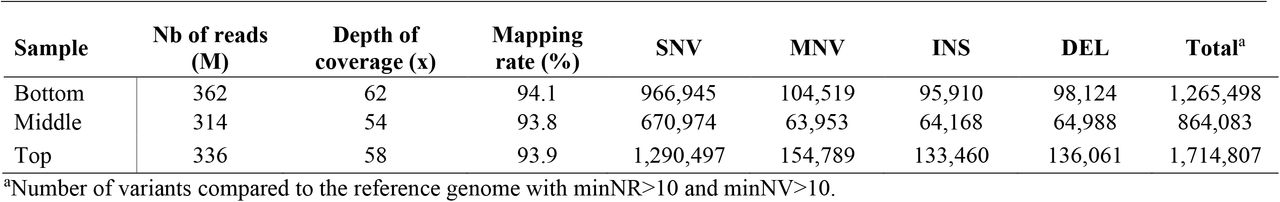 Statistics related to the whole-genome sequencing of Cannabis samples.