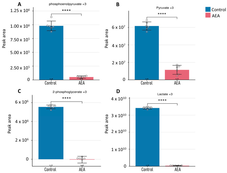 Metabolomics and flux analysis of intracellular glycolytic intermediates. Intracellular glycolytic intermediates, including (A) 13C3-phosphoenolpyruvate, (B) 13C3-pyruvate, (C) 13C3-2-PG, and (D) 13C3-lactate, were analyzed, and graphs were generated using Metabolite AutoPlotter V.2.6. n = 6. **** p < 0.0001.