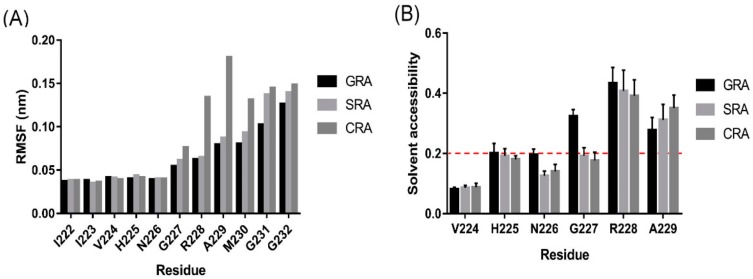 Comparative analysis of the dynamics of CBD-INT-OCV-cecB2 fusion protein variants: (A) the root-mean-square fluctuations (RMSF) of Cα atoms in the cleavage sequence calculated from the molecular dynamics (MD) simulations; (B) the solvent accessibility of residues in the cleavage sequence. The solvent accessibility was calculated from MD simulation snapshots. A cutoff of 20% (red dashed line) was used to define the two states—buried or exposed.