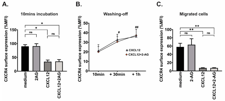 CXCR4 surface expression in JeKo-1 cells (A) after 10 min incubation with 2-AG (100 nM), CXCL12 (200 ng/mL) or the combination of 2-AG and CXCL12 and (B) after washing off cells, then re-incubation for 30 min and 1 h with medium alone, shown as percentage of MFI normalized to non-treated cells. Paired t-test, ns: non-significant, * p < 0.05, Unpaired t-test, # p < 0.05 between 10 min and +30 min, ## p < 0.01 between 10 min and +1 h. (C) CXCR4 surface expression JeKo-1 cells after being subjected to 4 h chemotaxis towards the same conditions, shown as percentage of MFI normalized to non-migrated cells; Paired t-test, ns: non-significant, * p < 0.05, ** p < 0.01.
