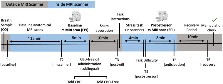Experimental session timeline.T1–T6 refer to the time points for subjective assessments, which included ratings of stress, anxiety, energy, and sedation, all measured on a scale from 1 (not at all) to 10 (extremely); CO: carbon monoxide; rs: resting state; EPI: echo planar imaging; Baseline and Post-Stressor rs MRI scans are bolded, as these reflect the two primary time points of interest for the rsFC analyses. Gray and Blue shadings differentiate measures taken outside versus inside the MRI scanner, respectively. Task difficulty was rated on a scale from 1 (not at all) to 10 (extremely).