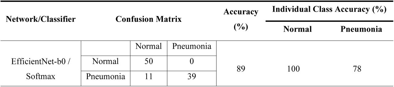 Performance evaluation of lightweight pre-trained EfficientNet-b0 CNN model
