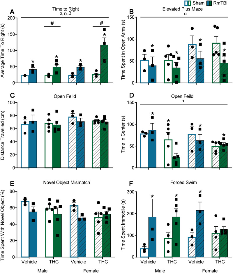 Graphical depictions of the behavioural testing results displayed as mean ± SEM for the pre-injury THC administration groups. White and white hashed bars display sham groups (males and females, respectively), while blue and green bars display RmTBI groups. Statistical significance symbols are displayed above the bars (α) indicates a main effect for sex, (*) indicates a main effect for RmTBI, (#) indicates a main effect for THC, (β) indicates a RmTBI by THC interaction and (δ) indicates a sex by RmTBI interaction. (A) The mean time to right following injury or sham procedures. (B) The mean time spent in the open arm of the EPM. (C and D) The mean distance travelled and time spent in the centre of the open field, respectively. (E) The percentage of time spent investigating the novel object in the novel context mismatch. (F) The mean time spent immobile during the forced swim test.