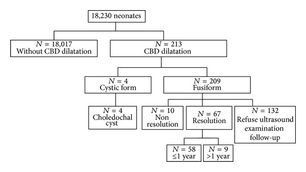 Overall initial and follow-up results of neonates who received abdominal ultrasound as newborn screening. CBD: common bile duct. N: number of neonates.