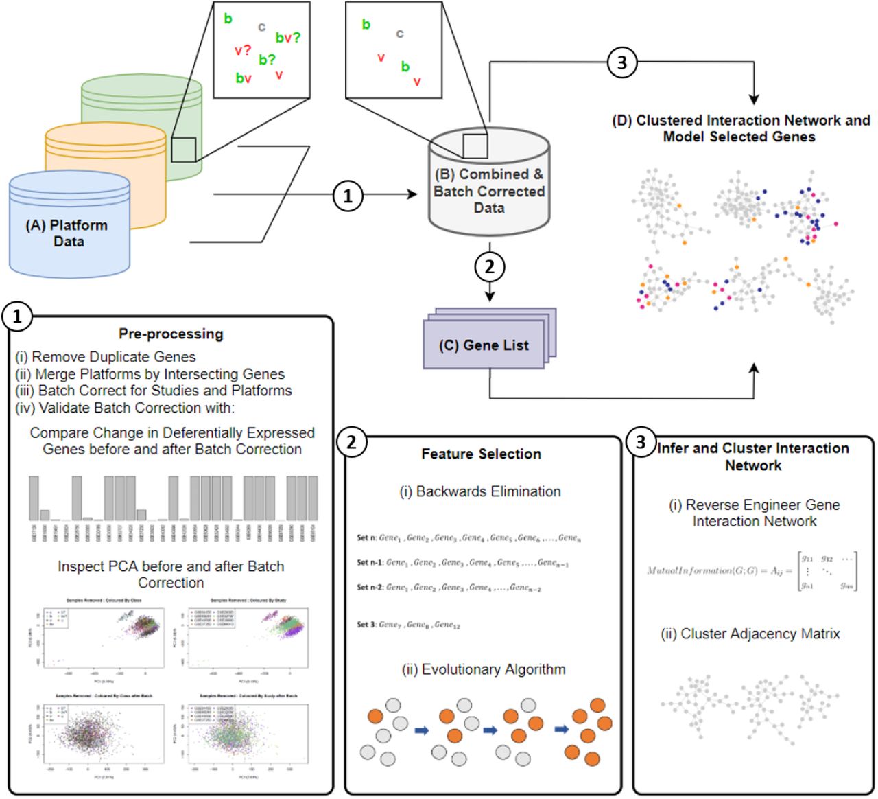 Conceptual overview.Individual data (A), containing bacterial (b), viral (v), control (c), and samples with lower levels of study confidence (?s) is merged by common genes and pre-processed by Step 1. Step 1 outputs a combined and batch corrected dataset (B), where only b/v/c samples are present. Two instances of (B) are formed, one where samples of lower levels of support are integrated into b/v classes, and the other completely omitting uncertain samples. Feature selection is performed on data B in Step 2 using (i) Backwards Elimination, and (ii) an Evolutionary algorithm. Step 2’s output is a number of Gene Lists (C) obtained in the feature selection. Data B is also used to infer and cluster a gene interaction network, by (i) reverse engineering the gene interaction network, and (ii) clustering the adjacency matrix. (D) is then formed as the clustered interaction network overlaid with genes found in the best performing mode of each dataset and search procedure.