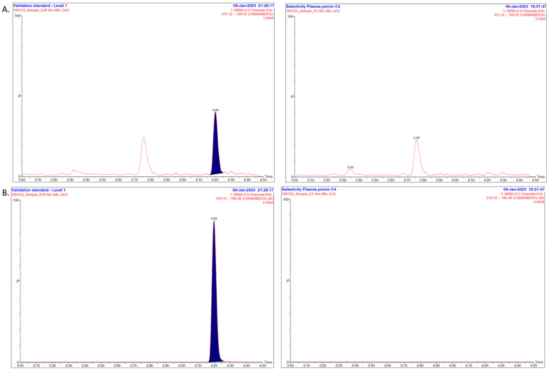 (A) Determination of the method’s selectivity: example of MRM chromatograms for cannabidiol obtained after analysis of a piglet plasma sample spiked at the LLOQ level (left) and a blank plasma sample (right). (B) Determination of the method’s selectivity: example of MRM chromatograms for cannabidiol-d3 obtained after analysis of a piglet plasma sample spiked at the LLOQ level (left) and a blank plasma sample (right). (C) Determination of the method’s selectivity: example of MRM chromatograms for 7-COOH-CBD obtained after analysis of a piglet plasma sample spiked at the LLOQ level (left) and a blank plasma sample (right). (D) Determination of the method’s selectivity: example of MRM chromatograms for 7-COOH-CBD-d3 obtained after analysis of a piglet plasma sample spiked at the LLOQ level (left) and a blank plasma sample (right).