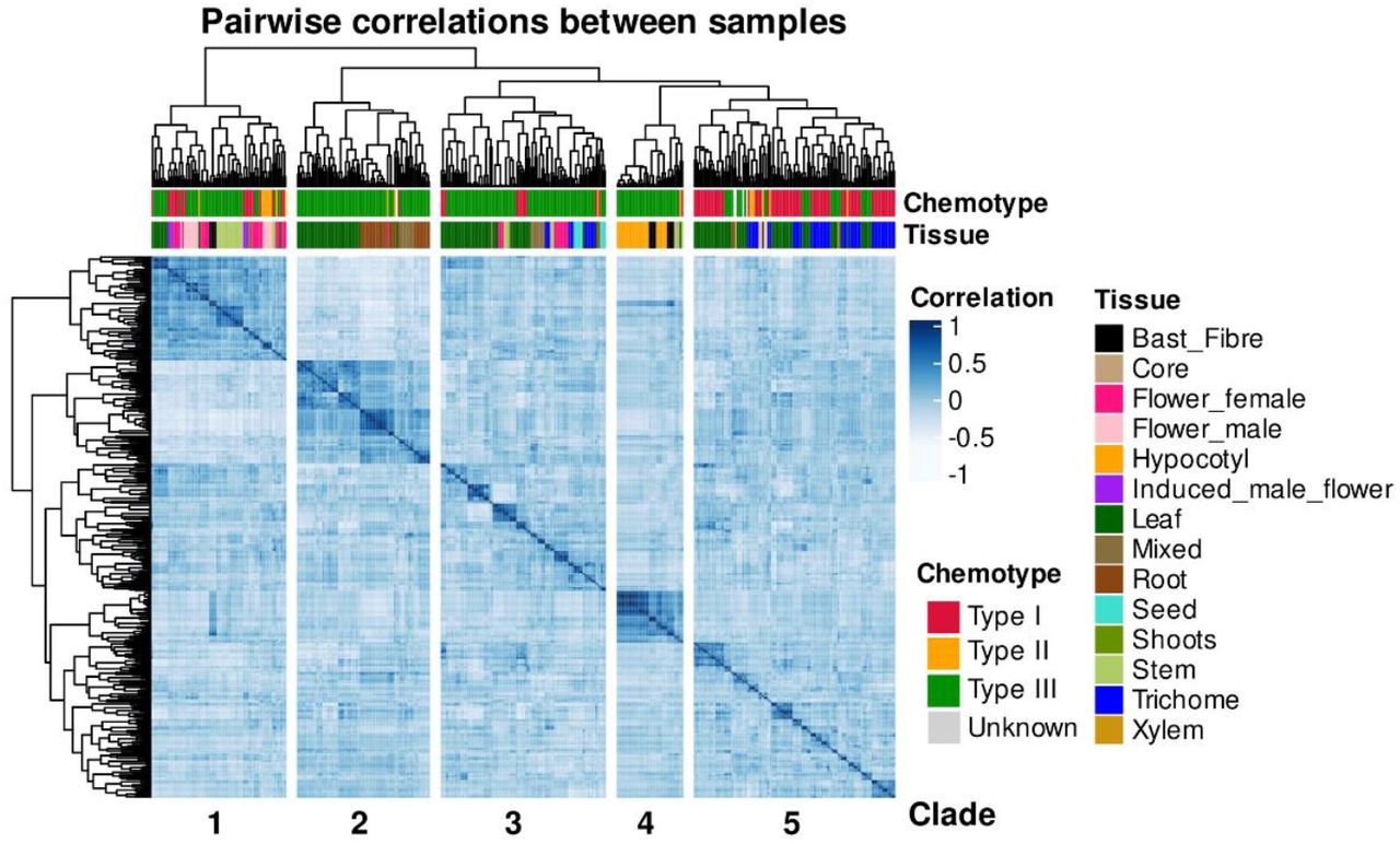 Cannabis samples pairwise correlation based on expression.