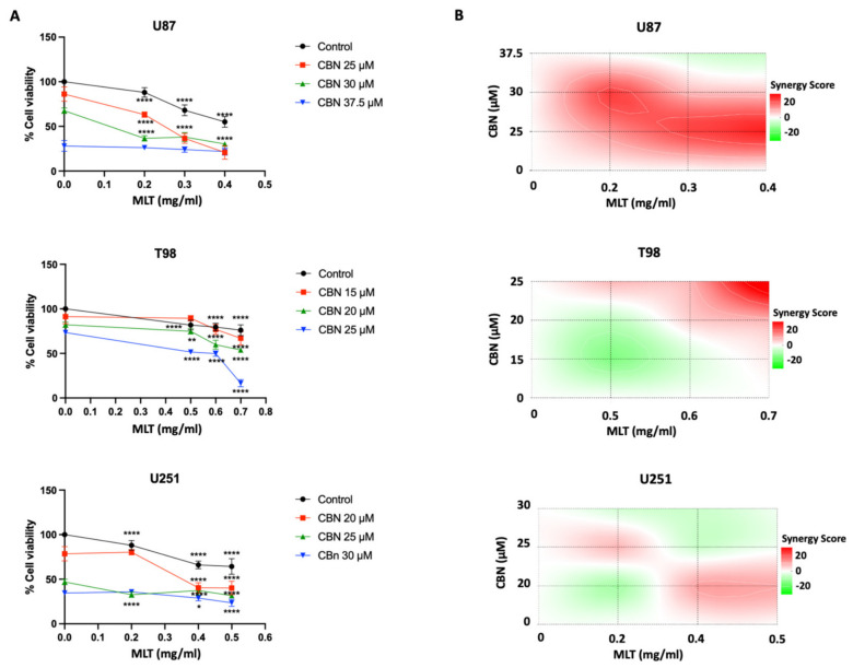 In vitro cell viability assay and synergistic interaction maps of CBN-MLT combinations in GBM cell lines. (A) Dose–response curves of U87, T98, and U251 cells treated with three concentrations of CBN, either alone or in combination with increasing doses of MLT. Data are presented as absolute cell viability (%) relative to untreated cells (set at 100%). Data are expressed as the mean ± SD of three independent experiments. Statistical significance was determined using two-way ANOVA followed by Dunnett’s post hoc test (* p < 0.05, ** p < 0.01, **** p < 0.0001 vs. control). (B) 2D synergy landscapes calculated using the Bliss independence model for CBN + MLT. The color scale indicates the synergy score: red regions represent synergistic cytotoxicity (score > 10), white regions indicate additive effects (−10 ≤ score ≤ 10), and green regions represent antagonism (score < −10).