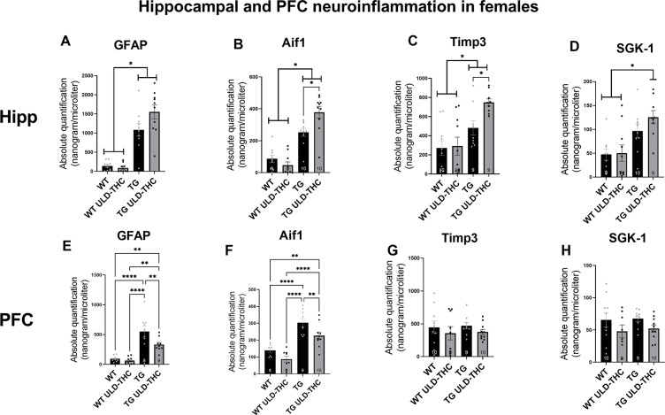 Effect of ULD-THC on hippocampal neuroinflammatipn in female 5xFAD mice.In the GFAP astrocyte marker, in the hippocampus (A) both treated and non-treated TG mice had higher expresiion of GFAP compared to WT, while in the PFC (E) TG Non-treated mice had a significantly higher expresiion of GFAP compared to WT and treated TG mice. In the AIF1 microglial marker, in the hippocampus (B) THC-treated TG mice had higher expression compared to all other groups. While in the PFC, TG Non-treated mice had a significantly higher expresiion of AIF1 compared to WT and treated TG mice(F). In hippocampal TIMP3 (C) THC-treated TG mice had higher expression compared to all other groups, and there was no difference in the PFC (G). In the SGK1 in the hippocampus (D) both treated and non-treated TG mice higher expression of SGK1 compared to WT, and there was no difference in the PFC (H). Results are represented as MEAN+/-SEM. * represents *<0.05