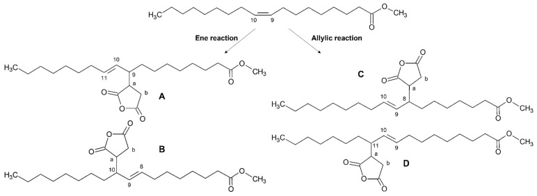 Products of the ene and allylic reactions on methyl oleate.