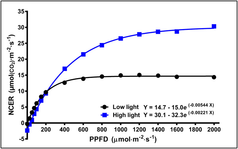 Typical light response curves [net CO2 exchange rate (NCER) response to light intensity] of the youngest fully-expanded fan leaves of Cannabis sativa ‘Stillwater’ grown under either low or high localized photosynthetic photon flux densities (LPPFD). The low and high LPPFD were 91 and 1,238 μmol·m−2·s−1, respectively. Measurements were made during week 5 after the initiation of the 12-h photoperiod.