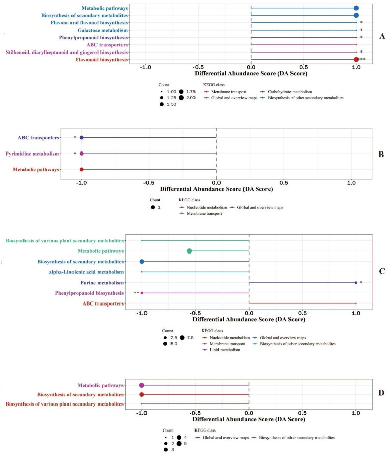 Differential abundance score of metabolic pathways of metabolites identified in milk using chinmedomics approach. (A): KEGG pathways enrichment of differential metabolites in colostrum between experimental group and control group. (B): KEGG pathways enrichment of differential metabolites in mature milk between experimental group and control group. (C): KEGG pathways enrichment of differential metabolites between colostrum and mature milk of experimental group. (D): KEGG pathways enrichment of differential metabolites between colostrum and mature milk of control group. * 0.01 < p <0.05, ** 0.001 < p <0.01, *** p < 0.001.