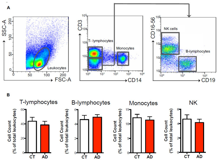 Immunophenotyping of immune cell populations. PMBCs (2–3 × 106) were stained at the cell surface with specific markers for the main innate and adaptive immune cell populations, and were analyzed through polychromatic flow cytometry, as detailed in the materials and methods. (A) According to physical parameters, total leukocytes were identified and further gated as CD14+ (monocytes) or CD3+ (T-lymphocytes) upon exclusion of CD3- cells. CD3- cells were subsequently gated against CD19+ (B-lymphocytes) and CD16+CD56+ (NK cells). (B) Histograms of the cell counts (expressed as percentage ± s.e.m. of total leukocytes) of T-lymphocytes, B-lymphocytes, monocytes and NK cells in both healthy controls (CT) and Alzheimer’s disease (AD) subjects.