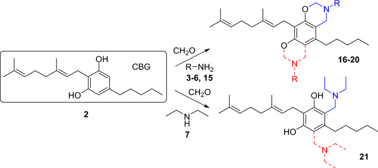 Reaction of CBG with amines and formaldehyde in Mannich-type reaction. (Reaction conditions and yields are shown in Table 2).