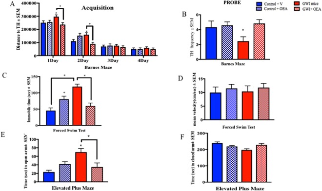 OEA treatment improves cognitive function and reduces fatigue and disinhibition type behavior in GWI mice. Mean ± SEM of control (n = 12), GWI mice (n = 11), control + OEA (n = 12) and GWI + OEA (n = 12). (A) One month after OEA treatment (6-months post-exposure to GW chemicals), acquisition trials were conducted to train mice to escape into the TH. For GWI mice treated with OEA, total distance to the TH was smallest, particularly on days 1 and 2, indicative of learning. As expected, GWI mice on normal chow had the worst performance with the largest total distance to the TH. Control mice treated with OEA had a higher latency to find the TH compared to control mice on the normal diet on day 2 only. (B) For the probe trials, conducted at 2-months post-treatment (7-months post-exposure), OEA treated GWI mice had a similar frequency of visits to the TH as control mice on normal chow and on OEA but a higher frequency of visits than GWI mice. (C) The immobile time was significantly increased in GWI mice compared to controls and was reduced in OEA treated GWI mice. (D) There was no change in the average speed among the different groups. (E) An examination of the time in the open arms of the EPM showed an increase of disinhibition in GWI mice on normal chow compared to both control groups and OEA treated GWI mice. (F) Total time in the closed arms was decreased in GWI mice compared with the control groups and OEA treated GWI mice. *p ≤ 0.05.