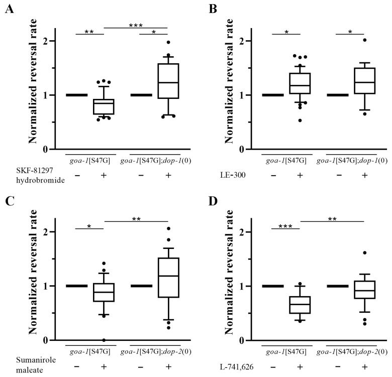 Functional validation of D1R and D2R ligand effects in receptor-depleted backgrounds. (A) SKF-81297 hydrobromide (D1R agonist) improved the hyperactive reversal phenotype in goa-1[S47G] animals, but this effect was abolished in the dop-1(0) background. (B) LE-300 (D1R antagonist) slightly worsened the phenotype, with no significant change in dop-1(0) animals. (C) Sumanirole maleate (D2R agonist) produced a mild improvement that was abolished in the dop-2(0) background. (D) L-741,626 (D2R antagonist) markedly improved the phenotype, and this effect was almost abolished in dop-2(0) animals. These results are consistent with structural predictions and suggest receptor-specific contributions to the observed effects for specific GPCR-ligand pairs. Statistical significance was assessed using an unpaired t-test with Welch’s correction (* p < 0.05; ** p < 0.01; *** p < 0.001). Data are normalized to the corresponding solvent-treated control. Sample size is reported in Table S4.