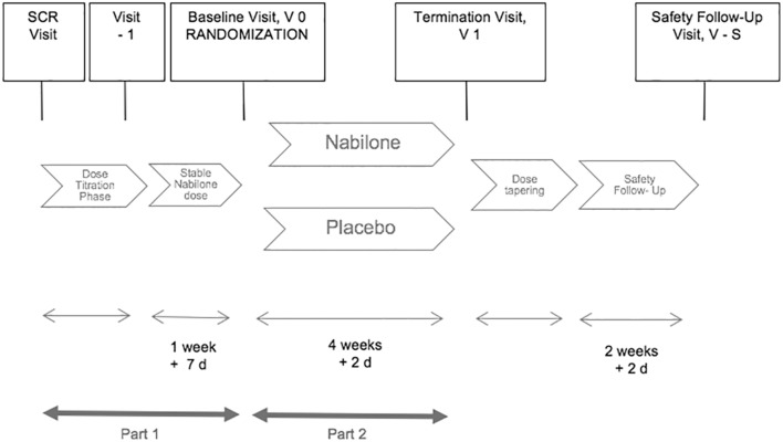 is a schematic diagram of the study procedures including all study visits and timelines