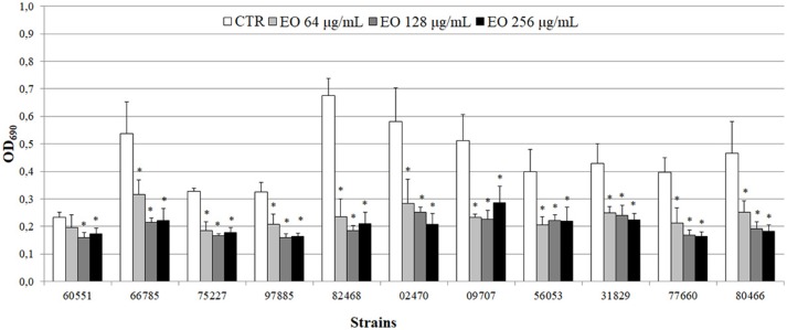 Biofilm production by L. monocytogenes in presence of the C. sativa EO. Exposure to the three EO concentrations resulted in a shift to a lower producer type in all but one (#60551) of the 11 strains. Values are mean OD690 ± SD of three experiments. Asterisks indicate significant values (p ≤ 0.05) compared with control (L. monocytogenes strain grown in the absence of EO).