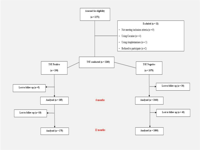 Participant flowchart showing recruitment and follow-up