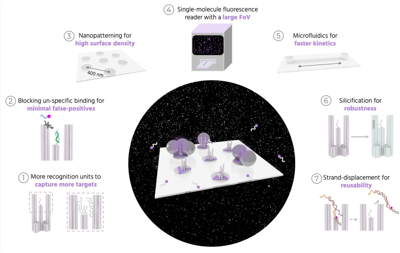Overview of the different components for NACHOS diagnostics.Different components involved in our approach to develop fluorescence enhanced single-molecule detection into a POC-compatible method for detecting low target concentrations of nucleic acids. An abstract image in the center showing a purple glow upon capturing DNA in the NanoAntennas with a snapshot of thousands of single molecules detected on our fluorescence reader as the background. Panels 1-7 show the different steps we employed, to address the challenges in achieving high sensitivity.