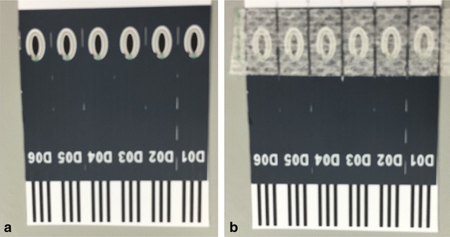 Screen printed electrode (a) without and (b) with overlayer applied. The sensor comprised the ovalular carbon working electrode (3.2 mm length, 1.2 mm width) and outer concentric Ag/AgCl counter/reference electrode
