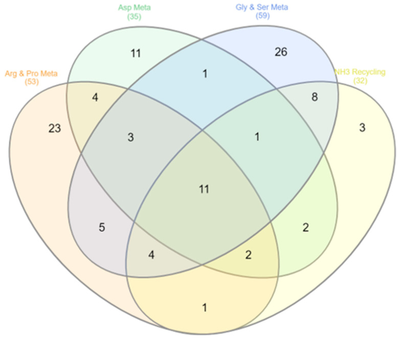 Pathway enrichment analysis was performed using MetaboAnalyst.