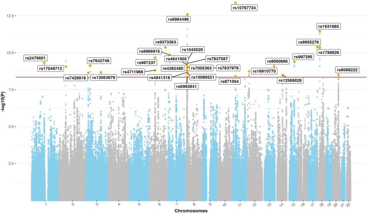 Multivariate genome-wide association study of latent genetic factor (LGF) for cardiovascular diseases and their comorbidities. The x axis represents the chromosomal position, and the y axis represents the −log10 of the unadjusted p-value for SNP associations with linkage disequilibrium score (LDSC) regression.