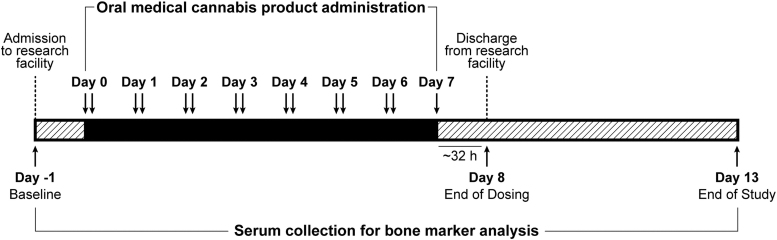 Summary of study design.