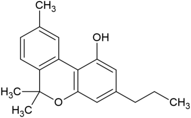 fimmu-13-982082-i005.jpg