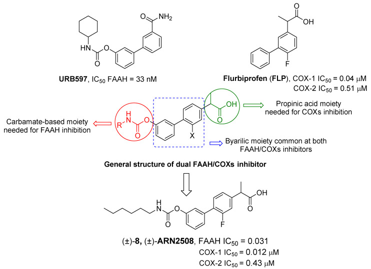 Representation of rational development of dual FAAH/COXs inhibitor (±)-ARN2508 (±-8) starting from FAAH inhibitor URB597 and COXs inhibitor flurbiprofen (FPL).