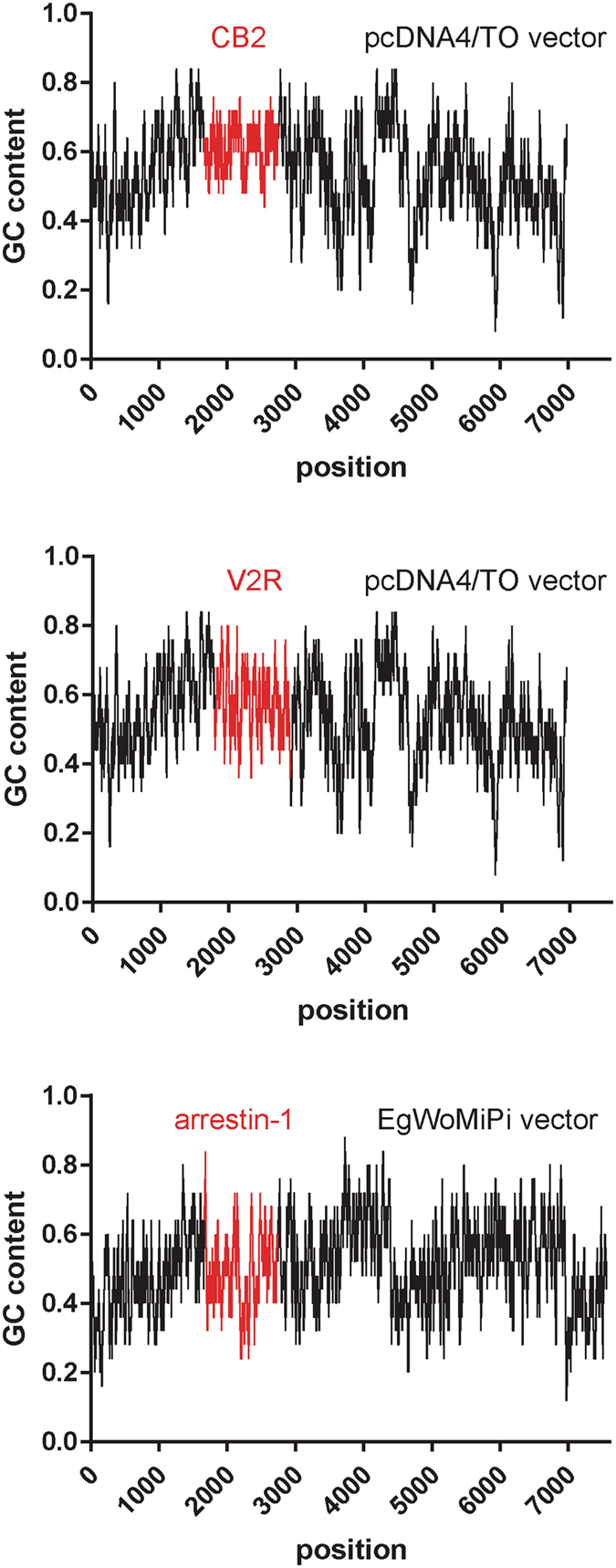 GC content of the plasmids used for the generation of the mutagenesis libraries. For each nucleotide position in the plasmid sequence, GC content was calculated using a 25 bp sliding window. The mutated sequences are highlighted in red.