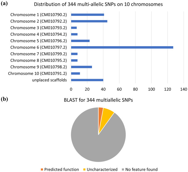 Features of 344 multiallelic SNPs (a) Distribution of structural SNPs on chromosome 1–10 and unplaced scaffolds. (b) BLAST results for structural SNPs against a fully annotated genome.
