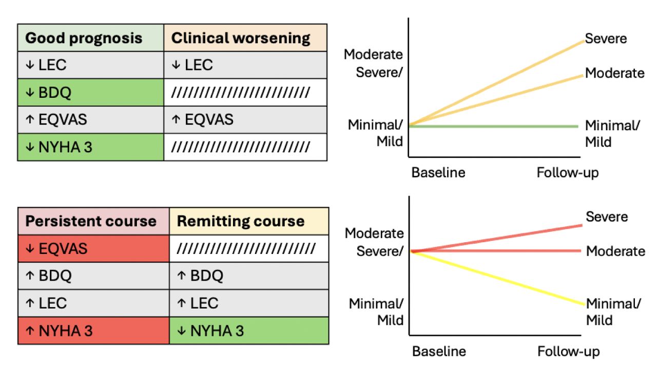 Significant predictors and their associations with trajectories, grouped based on shared baseline depressive symptom severity scores.Risk factors (red) are uniquely linked to poorer outcomes, protective factors (green) are uniquely linked to better outcomes, and common factors (grey) are associated with both.