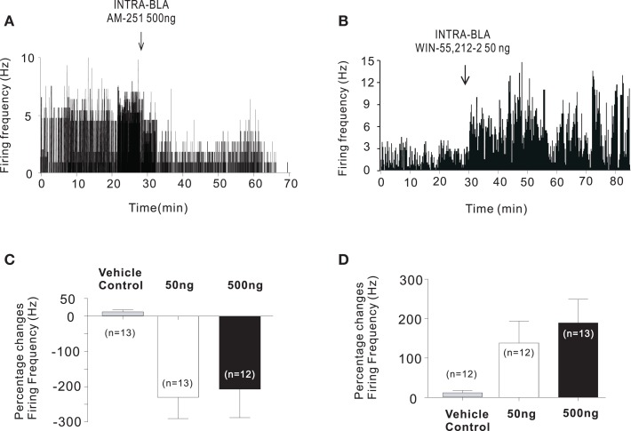 Intra-BLA CB1 receptor modulation controls the activity of PLC neurons. (A) Microinfusions of the CB1 antagonist AM 251 (50–500 ng/0.5 μl) strongly decreased the spontaneous firing frequency of a plurality of recorded PLC neurons. (B) In contrast, microinfusions of the CB1 agonist WIN 55, 212-2 (50–500 ng/0.5 μl) strongly increased the spontaneous firing frequency of a plurality of recorded PLC neurons. (C) Summary of group PLC neuronal data showing inhibitory effects on PFC neuronal activity following intra-BLA infusions of AM 251. (D) Summary of group PFC neuronal data showing excitatory effects on PLC neuronal activity following intra-BLA infusions of WIN 55, 212-2. Adapted from Tan et al. (9).
