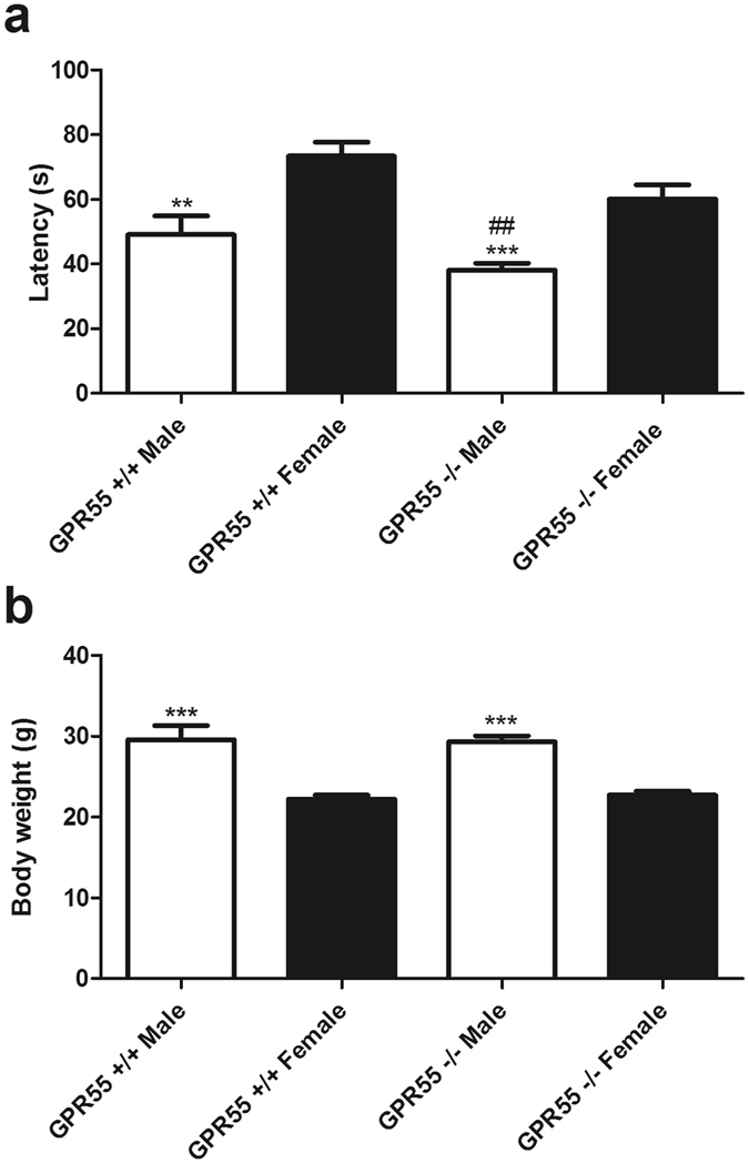 Male mice show decreases in rotarod performance. Male GPR55 KO and WT mice display decreased latencies to descent relative to female GPR55 KO and WT mice, (a). Data are expressed as mean ± SEM (n = 9–15 per group). Two-way ANOVA, 2-tailed t-test with Welch’s correction. ***p < 0.001, **p < 0.01vs. female WT, ##p < 0.01 vs. female GPR55 KO. Male mice display higher body weights relative to female mice irrespective of genotype (b). Data are expressed as mean ± SEM (n = 9–15 per group). Two-way ANOVA, two-tailed t-test.