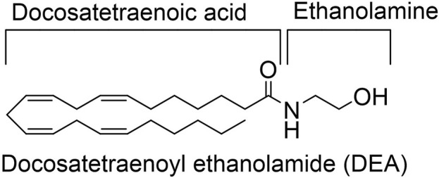 DEA structure.
