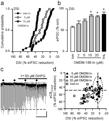 Intracellular application of DAGL inhibitors reduces DSI to a greater extent than it reduces eCBmGluR.(a) Intracellular infusion of OMDM-188 reduced DSI; each symbol represents averaged DSI values (3 trials) from one cell. Only data for 5 µM (n = 16) and 10 µM (n = 38) groups shown for clarity; both differ from Veh-In group, K-S test, p<0.01. (b) Group data. Includes results in (a), plus 2 µM (n = 6), 20 µM (n = 40) groups. * p<0.001, one-way ANOVA on ranks. (c) Sample continuous trace showing DSI trials and eIPSC suppression by eCBmGluR. Scale: 2 min/200 pA. (d) Group data for experiments as in (c) with internal 5, 10 or 20 µM OMDM-188, or Veh only. DSI and eCBmGluR were measured, and eCBmGluR was plotted against DSI for each cell. For the cells (n = 28/35) within dotted oval, mean eIPSC reduction from baseline by DSI is 4.3±1.06%, mean eCBmGluR eIPSC reduction is 49.0±2.32%. The straight line is a linear regression fit to the data for 10 and 20 µM DHPG (see text for discussion).