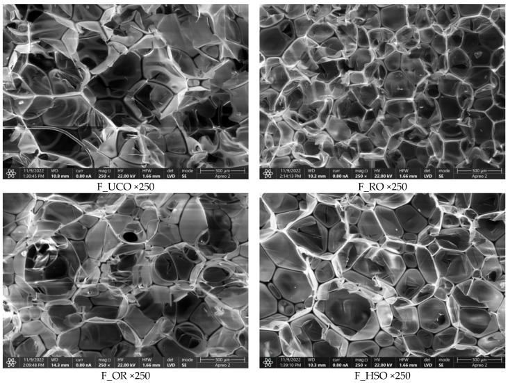 SEM images of the polyurethane foams at a magnification of 250×.