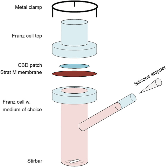 Schematic illustration of a static Franz cell diffusion setup for in vitro transdermal diffusion studies.