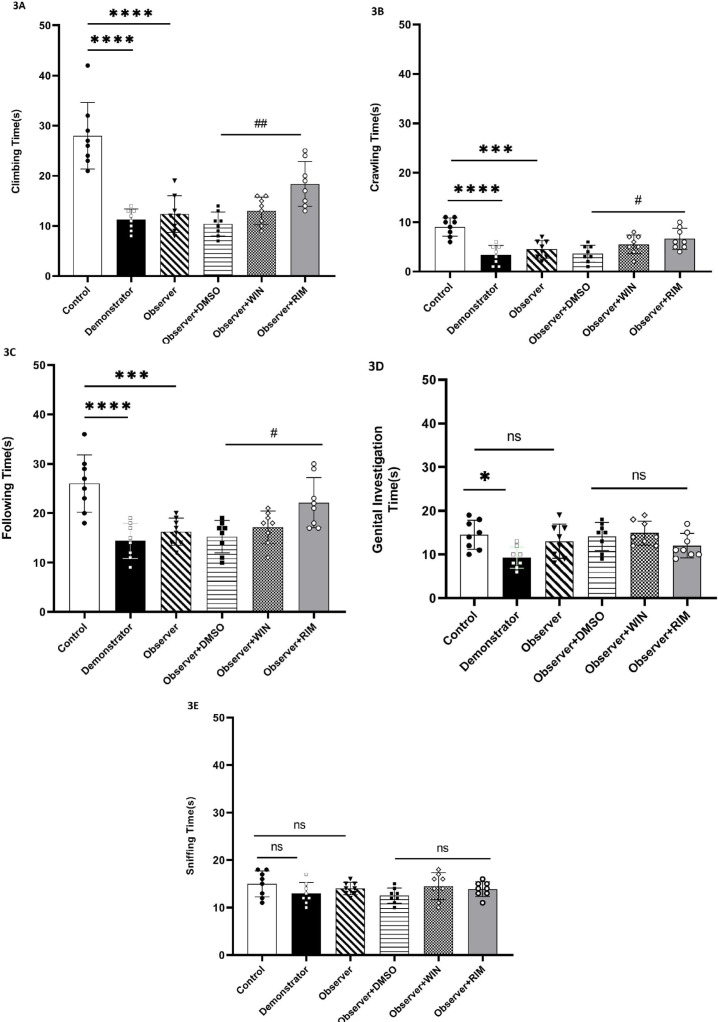 Effects of the CB1R agonist (WIN) and antagonist (rimonabant) on social behavior, including climbing (A), crawling (B), following (C), genital Investigation (D), and sniffing (E)Note: The data are shown as the Mean±SEM, and n=8 rats in each group. *P<0.05, ***P<0.001, and ****P<0.0001 shows comparison with the control group; #P<0.05 and ##P<0.01 shows comparison with the observer + DMSO group.