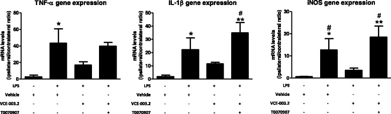 mRNA levels for TNF-α, IL-1β, and iNOS in the striatum of adult male mice at 3 weeks of being subjected to an intrastriatal injection of LPS and daily treated with VCE-003.2 (10 mg/kg), alone or combined with T0070907 (5 mg/kg), or vehicle. Values are the ratio between the lesioned side and the non-lesioned side and correspond to means ± SEM of 4–6 subjects per group. Data were assessed by the one-way analysis of variance followed by the Student–Newman–Keuls test (*p < 0.05, **p < 0.01 versus vehicle-treated control mice; #p < 0.05 versus VCE-003.2-treated LPS-lesioned mice)